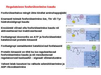 Regulatsioon #14