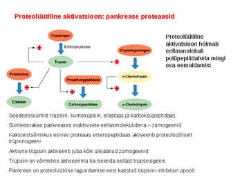 Regulatsioon #15