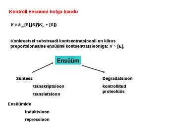 Regulatsioon #16