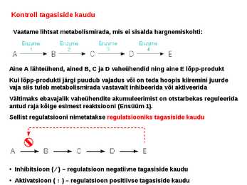 Regulatsioon #6