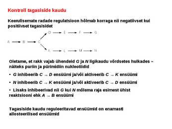 Regulatsioon #7