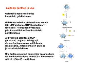 Sahhariidid #26