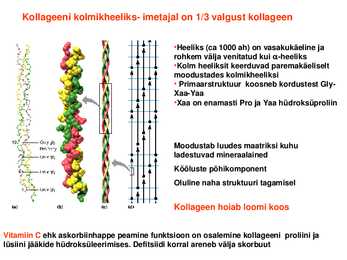Valkude ruumiline struktuur #18