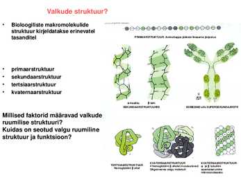 Valkude ruumiline struktuur #3