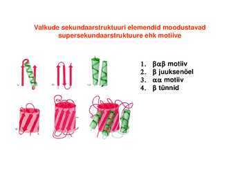 Valkude ruumiline struktuur #22