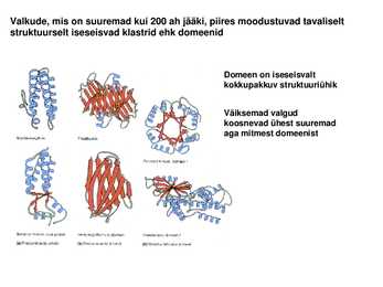 Valkude ruumiline struktuur #23