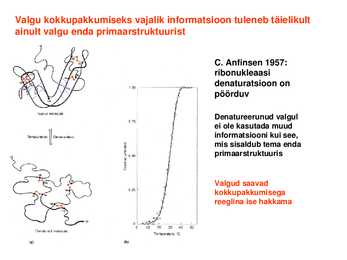 Valkude ruumiline struktuur #26