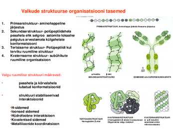 Valkude ruumiline struktuur #5