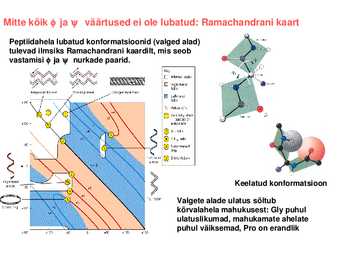 Valkude ruumiline struktuur #9