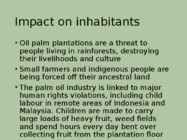 Palm oil #12