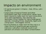 Palm oil #8