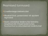 Leedemullad #2