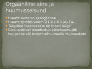 Leedemullad #5