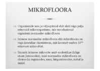 Naha mikrofloora ja naha kaitsemehhanismid #2