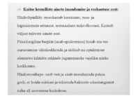 Naha mikrofloora ja naha kaitsemehhanismid #14