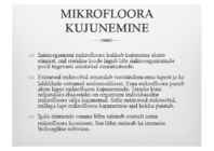 Naha mikrofloora ja naha kaitsemehhanismid #4
