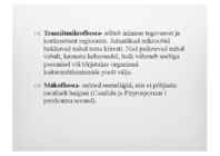 Naha mikrofloora ja naha kaitsemehhanismid #10