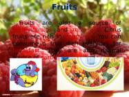 Balanced Diet Healthy Lifestyle #13