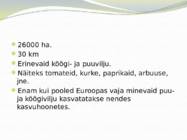 ALMEIRA KASVUHOONETE PIIRKOND #5