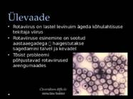 ROTAVIIRUS esitlus #3