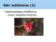 Fotograafia ja pilditöötlemine #31