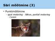 Fotograafia ja pilditöötlemine #32