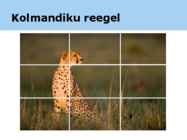 Fotograafia ja pilditöötlemine #40