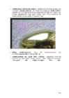 Arvutigraafika Adobe Photoshop CS6 baasil #106