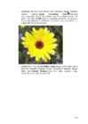 Arvutigraafika Adobe Photoshop CS6 baasil #117