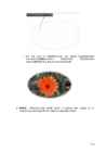 Arvutigraafika Adobe Photoshop CS6 baasil #121