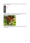 Arvutigraafika Adobe Photoshop CS6 baasil #135