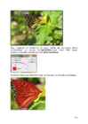 Arvutigraafika Adobe Photoshop CS6 baasil #136