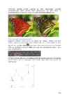 Arvutigraafika Adobe Photoshop CS6 baasil #137