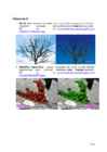 Arvutigraafika Adobe Photoshop CS6 baasil #147