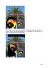 Arvutigraafika Adobe Photoshop CS6 baasil #157