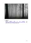 Arvutigraafika Adobe Photoshop CS6 baasil #174