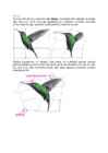 Arvutigraafika Adobe Photoshop CS6 baasil #180