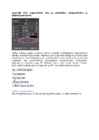 Arvutigraafika Adobe Photoshop CS6 baasil #195