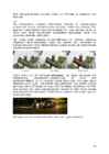 Arvutigraafika Adobe Photoshop CS6 baasil #37