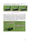 Arvutigraafika Adobe Photoshop CS6 baasil #69