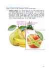 Arvutigraafika Adobe Photoshop CS6 baasil #80