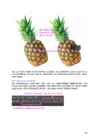 Arvutigraafika Adobe Photoshop CS6 baasil #89
