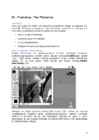 Arvutigraafika Adobe Photoshop CS6 baasil #10