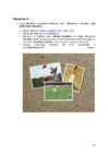 Arvutigraafika Adobe Photoshop CS6 baasil #94
