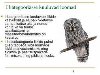 Liigikaitse - kaitstavad loomad ja võõrliigid #6