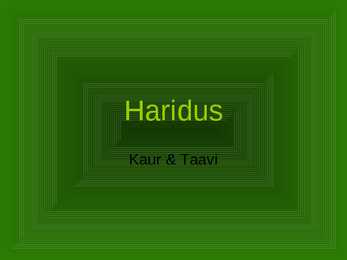 Haridus