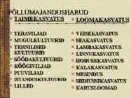 Põllumajandus ja toiduainetetööstus #10
