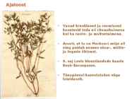 Maitsetaimed #103