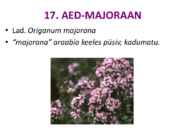 Maitsetaimed #110