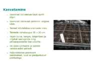 Maitsetaimed #20